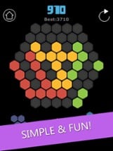 Hexagon Puzzle Blocks Image