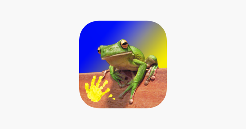 Play & Learn Animal Flashcards Image