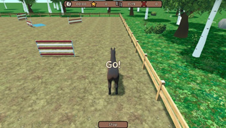 Pony Jump Image