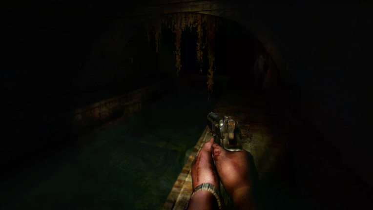 The Fall: Zombie Survival Image