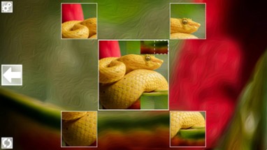 Puzzle Art: Snakes Image