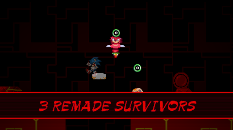 Sonic.exe The Disaster 2D Remake NU Project screenshot