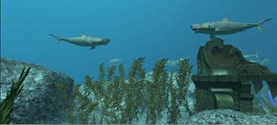 VR Shark Image