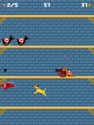 Washington's Wall screenshot