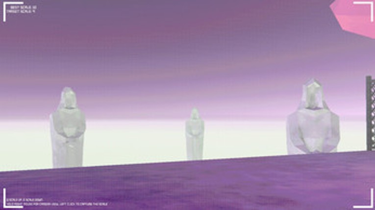 Capturing Scale Image