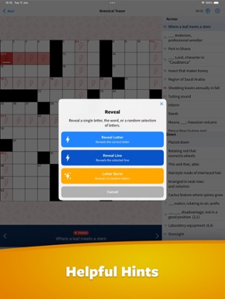 Crossword+ Image