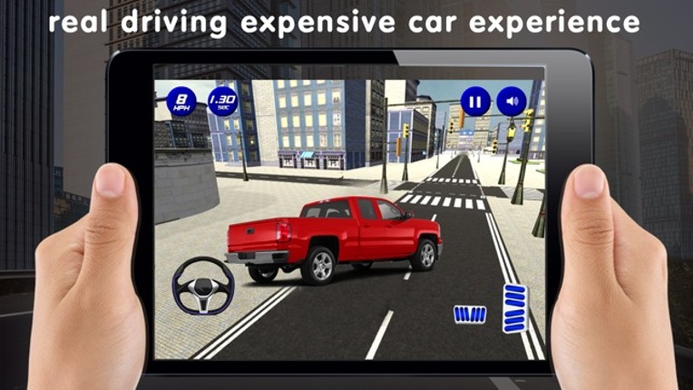 Extreme Car Race 3d screenshot