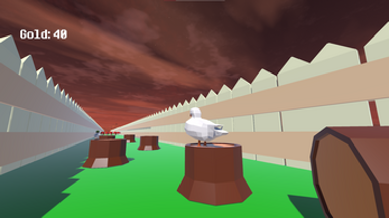 infinity Duck Image