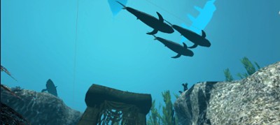 VR Shark Image