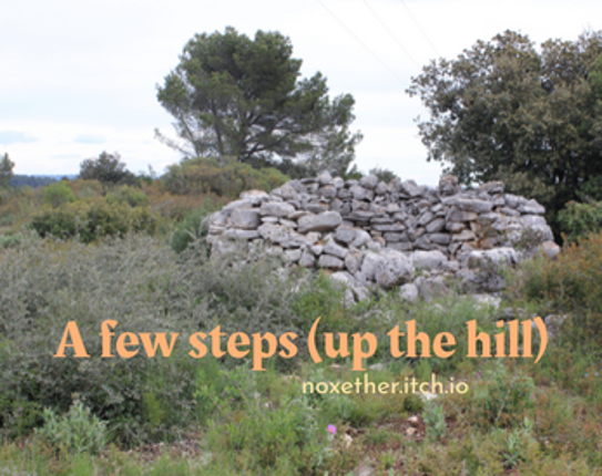 A few steps (up the hill) Image