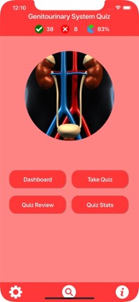 Genitourinary System Trivia Image