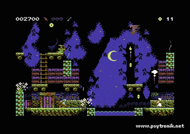Sherwood (C64) screenshot