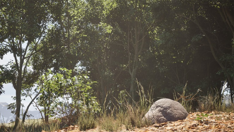 Stone Simulator – Just Be a Rock screenshot