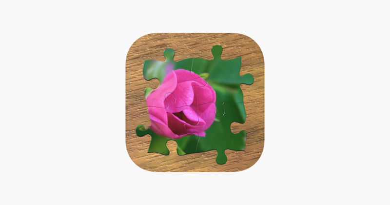 True Jigsaw Image