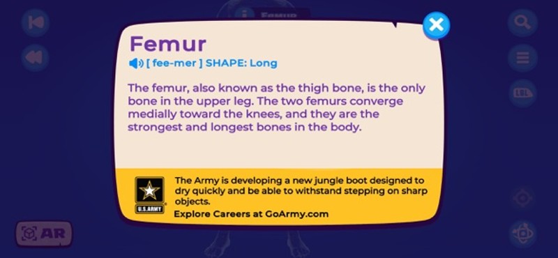 U.S. Army STARS Anatomy Image