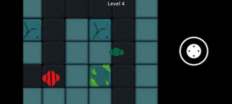Chaser Maze Image
