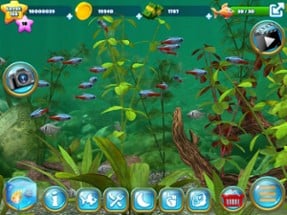 Fish Farm 3 - Aquarium Image