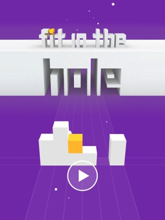 Fit In The Hole screenshot