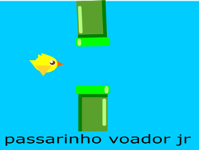 passarinho voador jr Image