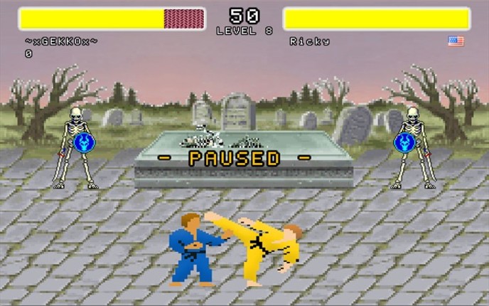 Street Karate Fighter Image