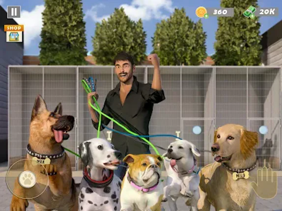 Animal Shelter Pet Rescue Game Image