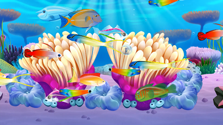 Fish Paradise - Aquarium Live Image