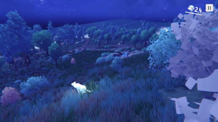 A Path Home Image