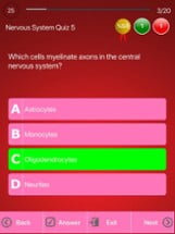 Human Nervous System Trivia Image