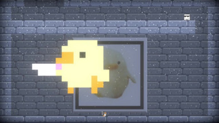 I Wanna Be The Penguinator Image
