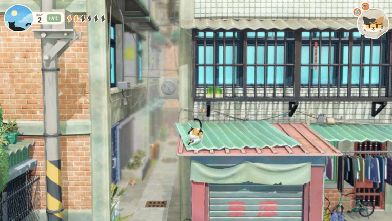 The Little Cat Things Image