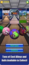 Action Bowling Classic Image