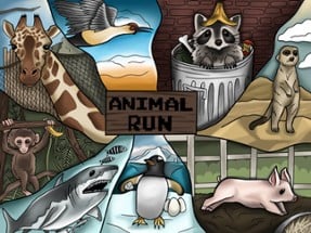 Animal Run Image