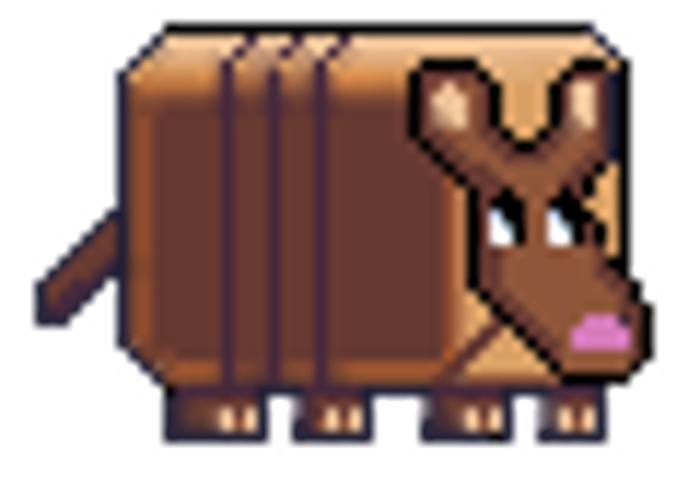 Armadillo Madness Image