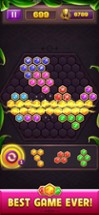 Hexa Block Puzzle Star Gem Image