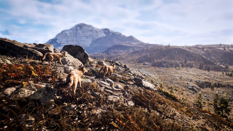 Hunting Simulator 3 screenshot