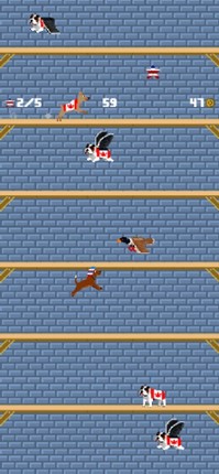 Washington's Wall screenshot