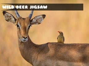 Wild Deer Jigsaw Image