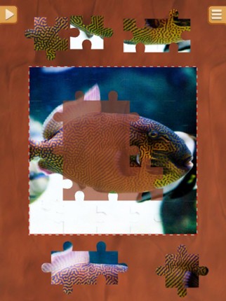 Cool Fish Jigsaw Puzzles - Fun Logical Games screenshot