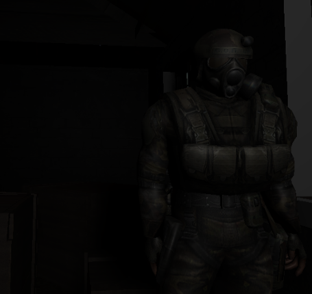 The Shadow of the Ruined Image