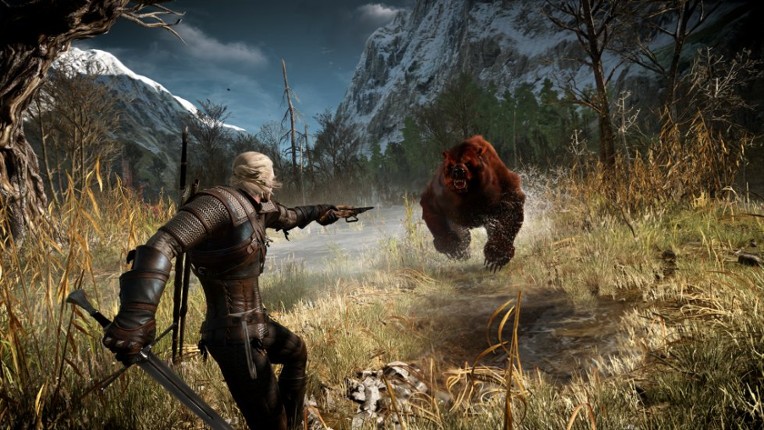 The Witcher 3: Wild Hunt screenshot