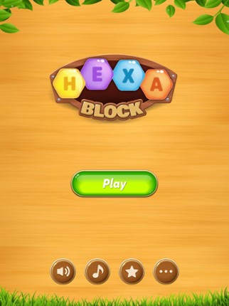 Block Puzzle - Hexa Image