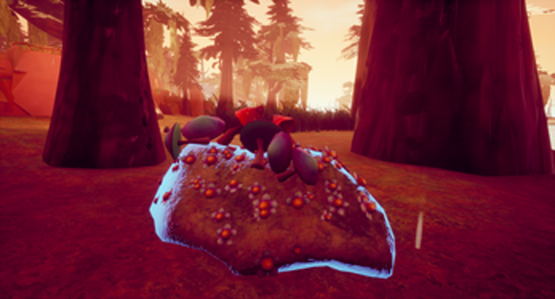 Focus screenshot