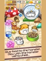 Hamster Life Image