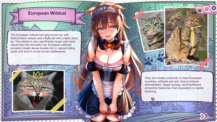 Nekopedia: Find Her Tail screenshot