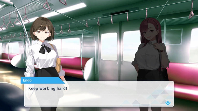 Rina's Undercover Train Operation Image