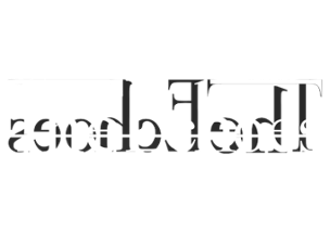 The Echoes Image