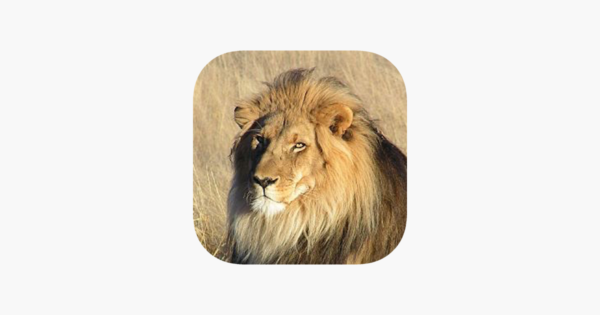 Games like Zoo Quiz - the animal game