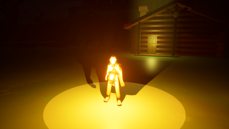 A Light In The Dark Image