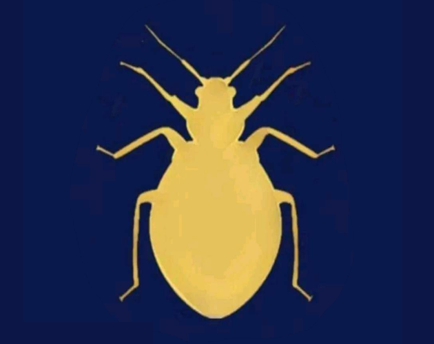 Games like DMD: Misión chinches en la facultad