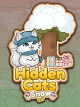 Hidden Cats: Snow Image